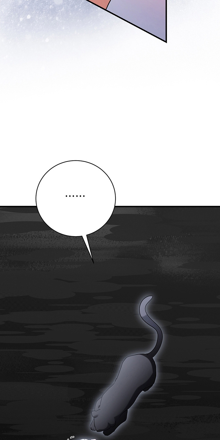 黑豹配偶超棘手角色漫画,第4章：兔毛球1图