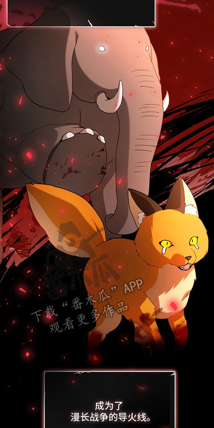 黑豹配偶超棘手漫画,第6章：我要离婚1图