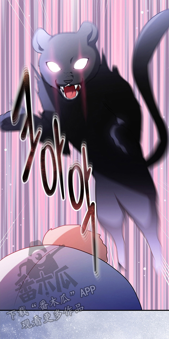 黑豹配偶超棘手角色漫画,第4章：兔毛球3图