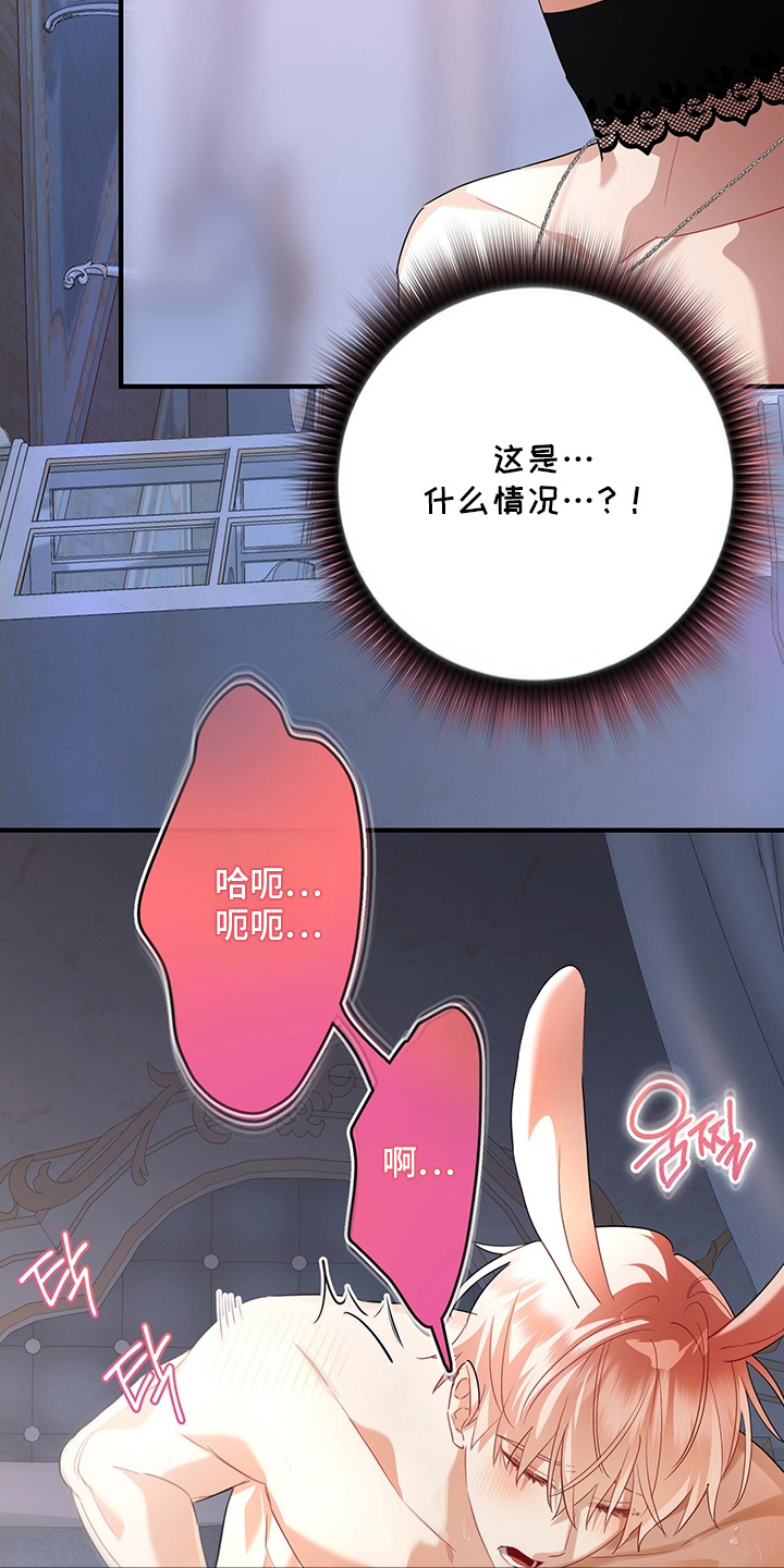 黑豹配偶超棘手漫画,第8章：清醒点1图