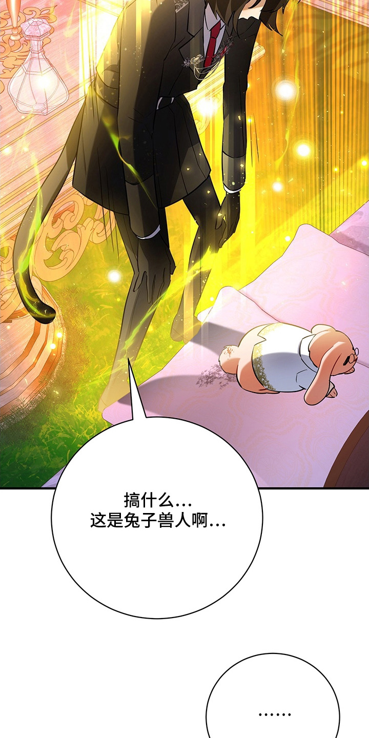 黑豹配偶超棘手角色漫画,第4章：兔毛球3图