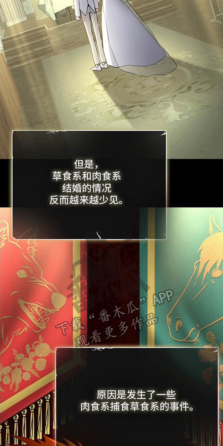 黑豹配偶超棘手漫画,第6章：我要离婚4图