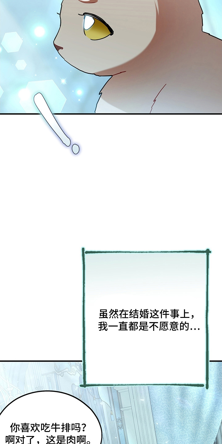 黑豹如何配偶漫画,第13章：反省2图
