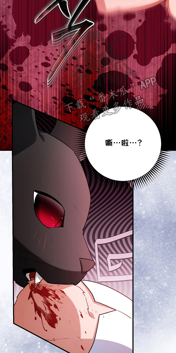 黑豹配偶超棘手角色漫画,第4章：兔毛球5图