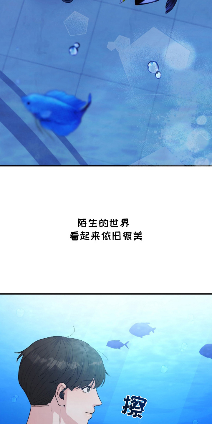 VVIP禁区漫画,第4章：一瞬间的想法1图