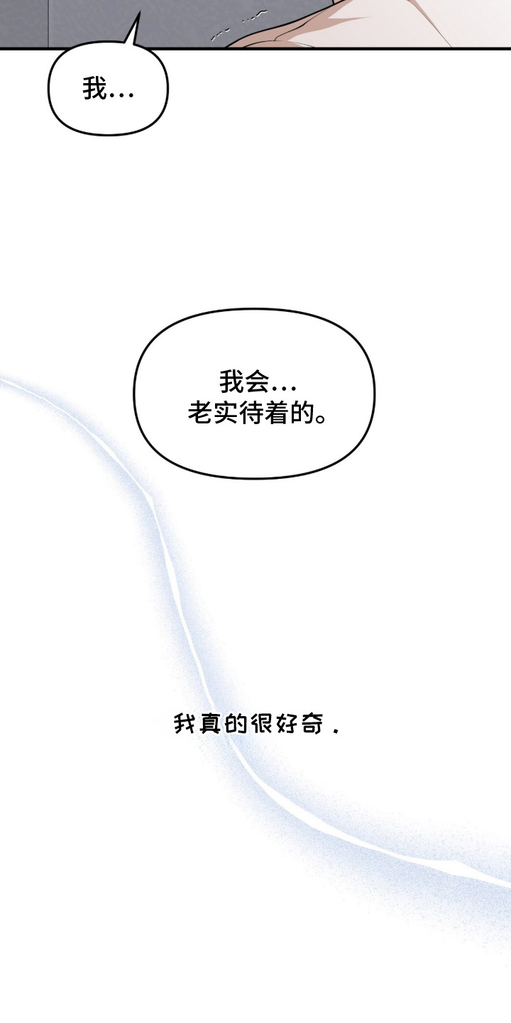 vvip网络服务的收费标准是什么漫画,第1章：度假船5图