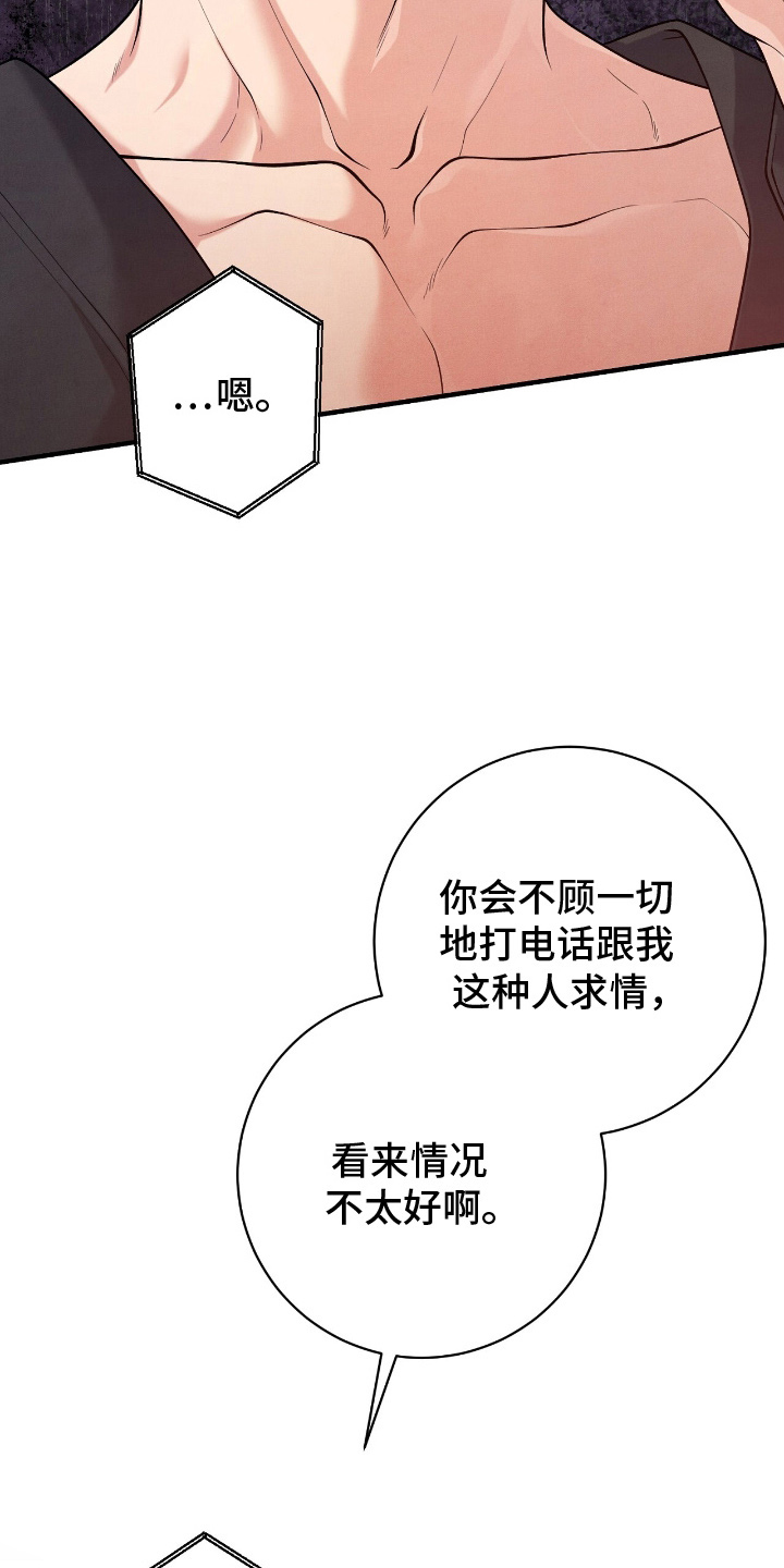 vvip是什么网站漫画,第19章：冒犯了3图