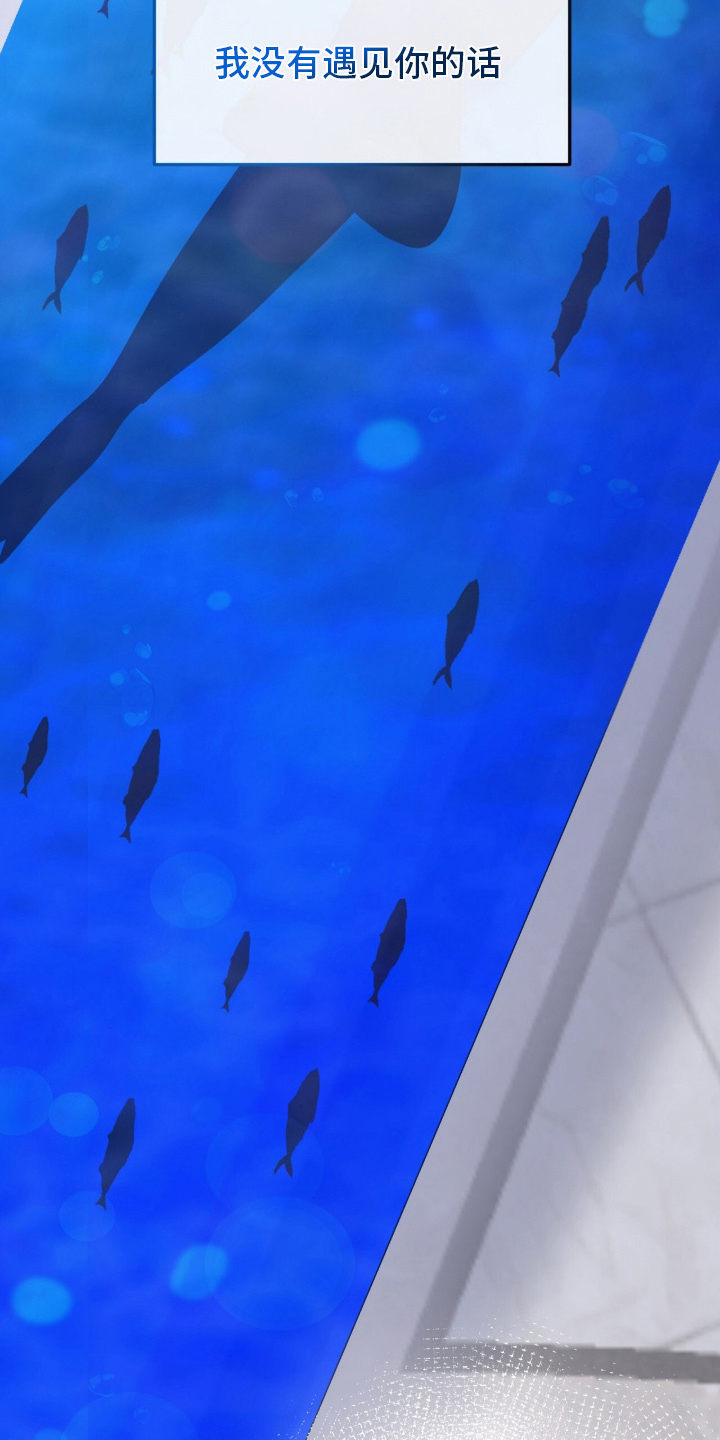 vvip网络服务的收费标准是什么漫画,第1章：度假船4图