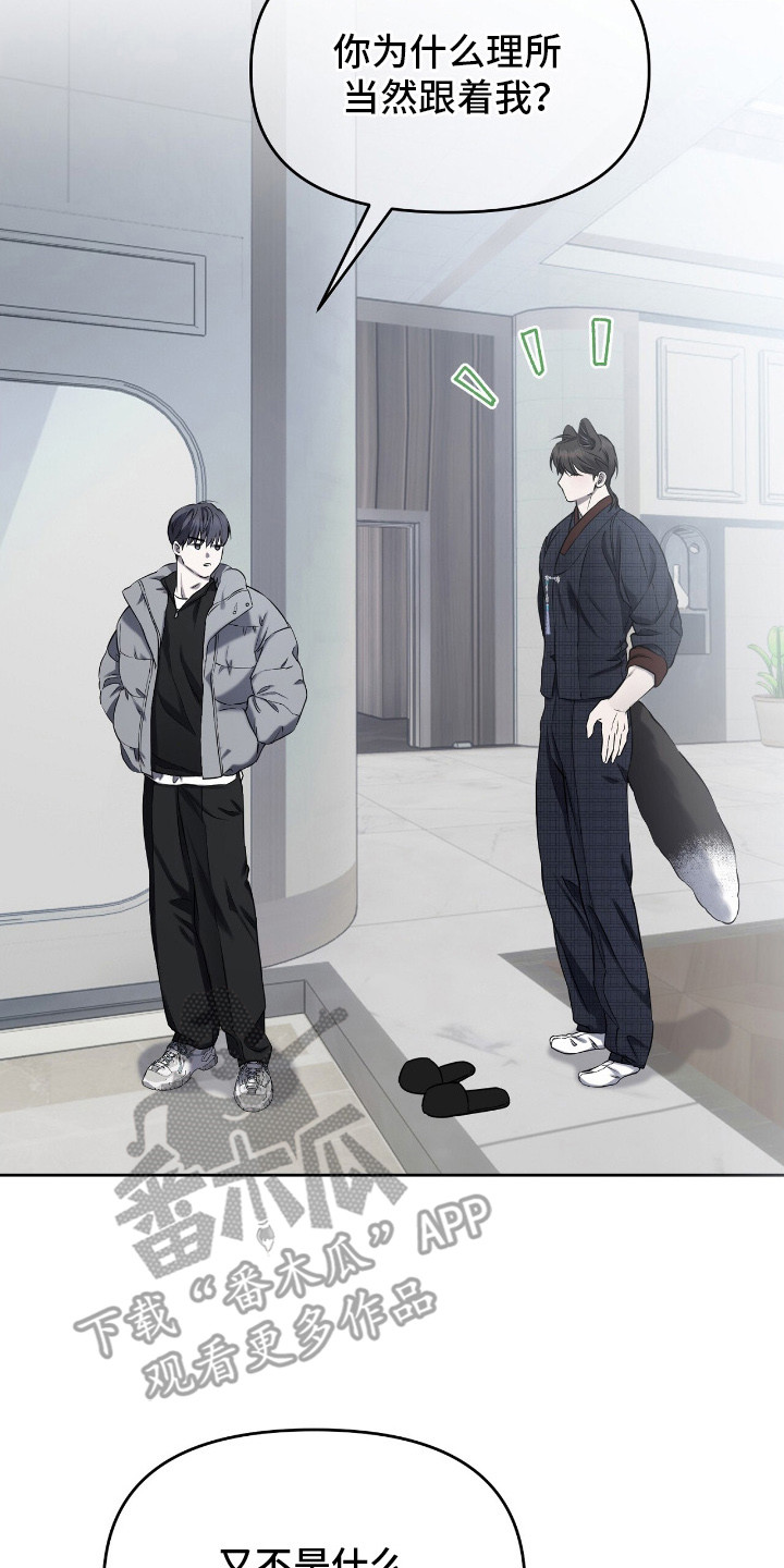 囚狐之笼漫画,第18章：疑问5图