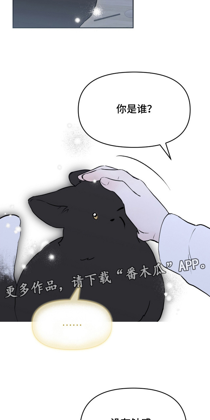 第2章：领养4