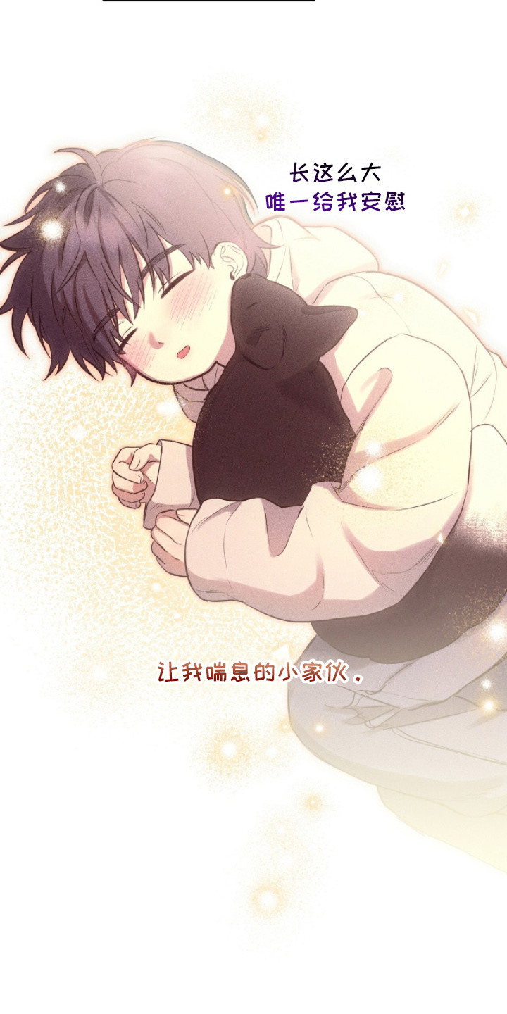囚狐之笼漫画,第12章：找得很辛苦2图