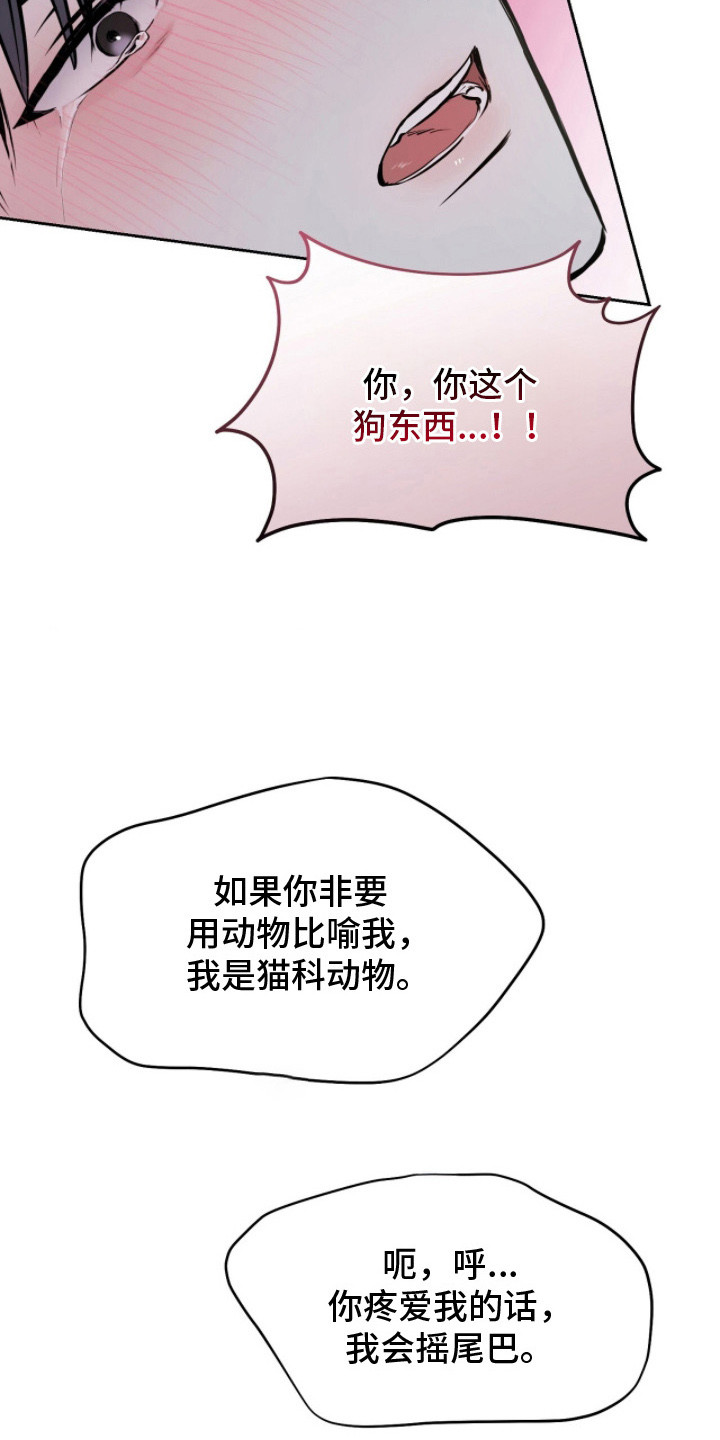 囚狐之笼漫画,第16章：动不了1图