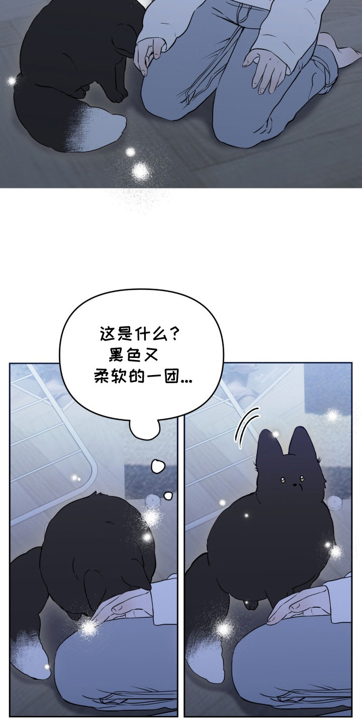第2章：领养2