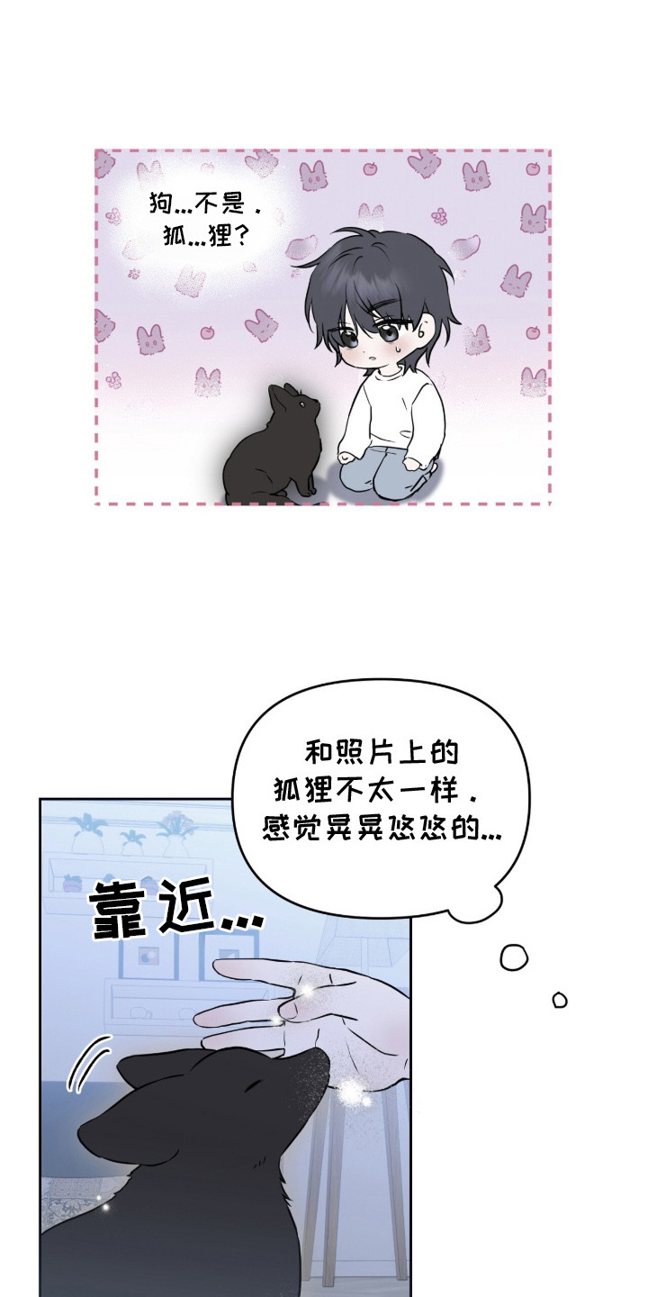 第2章：领养3