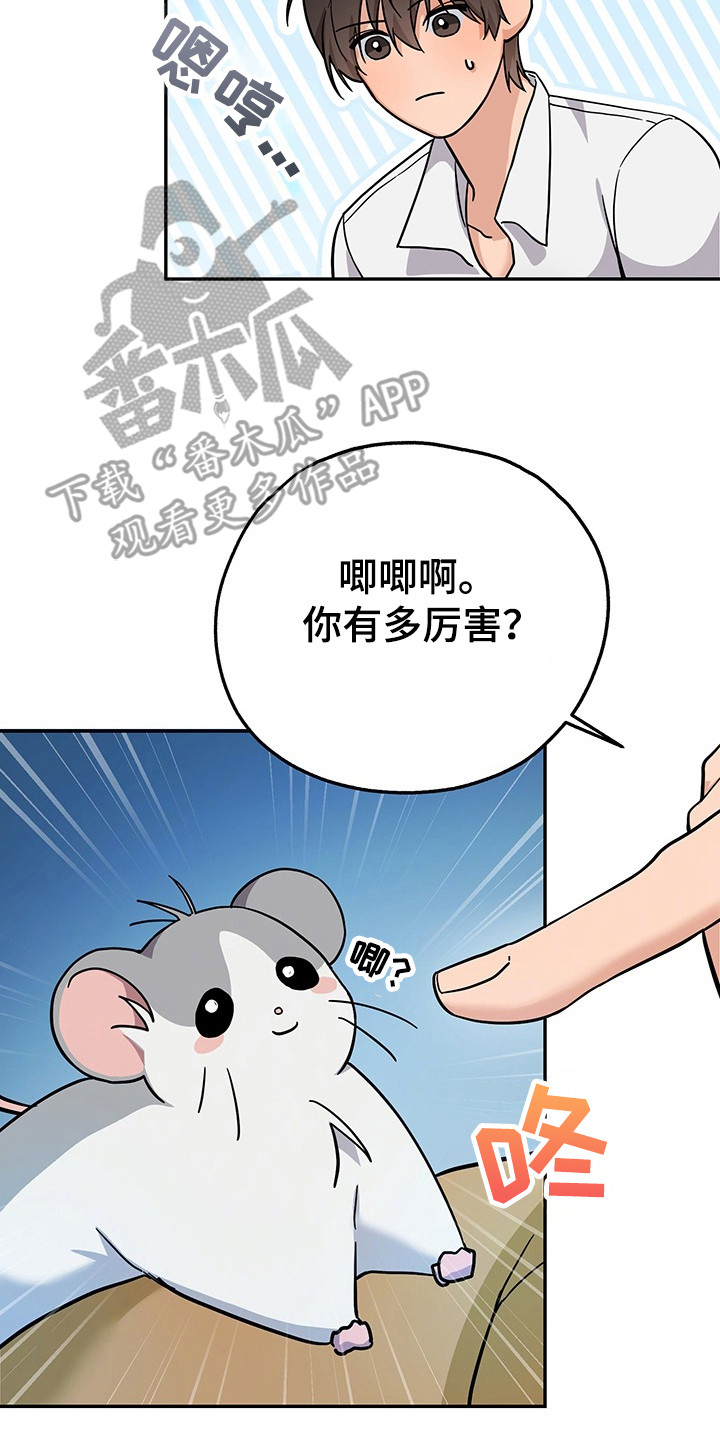 我的仓鼠外挂漫画,第8章：任务3图