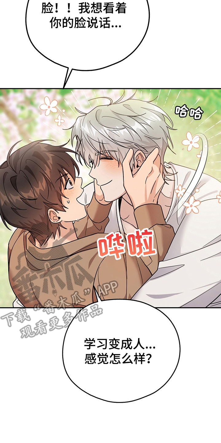 我的仓鼠作文200字漫画,第22章：很快适应4图