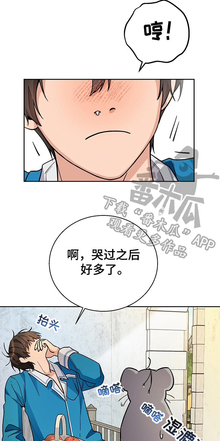 我的仓鼠游戏在哪里下载漫画,第4章：系统Bug3图