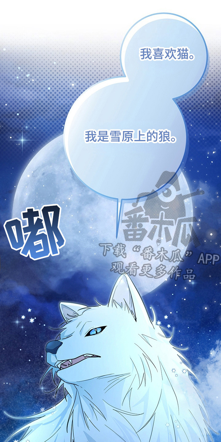 我的仓鼠作文200字漫画,第15章： 奴隶商人3图