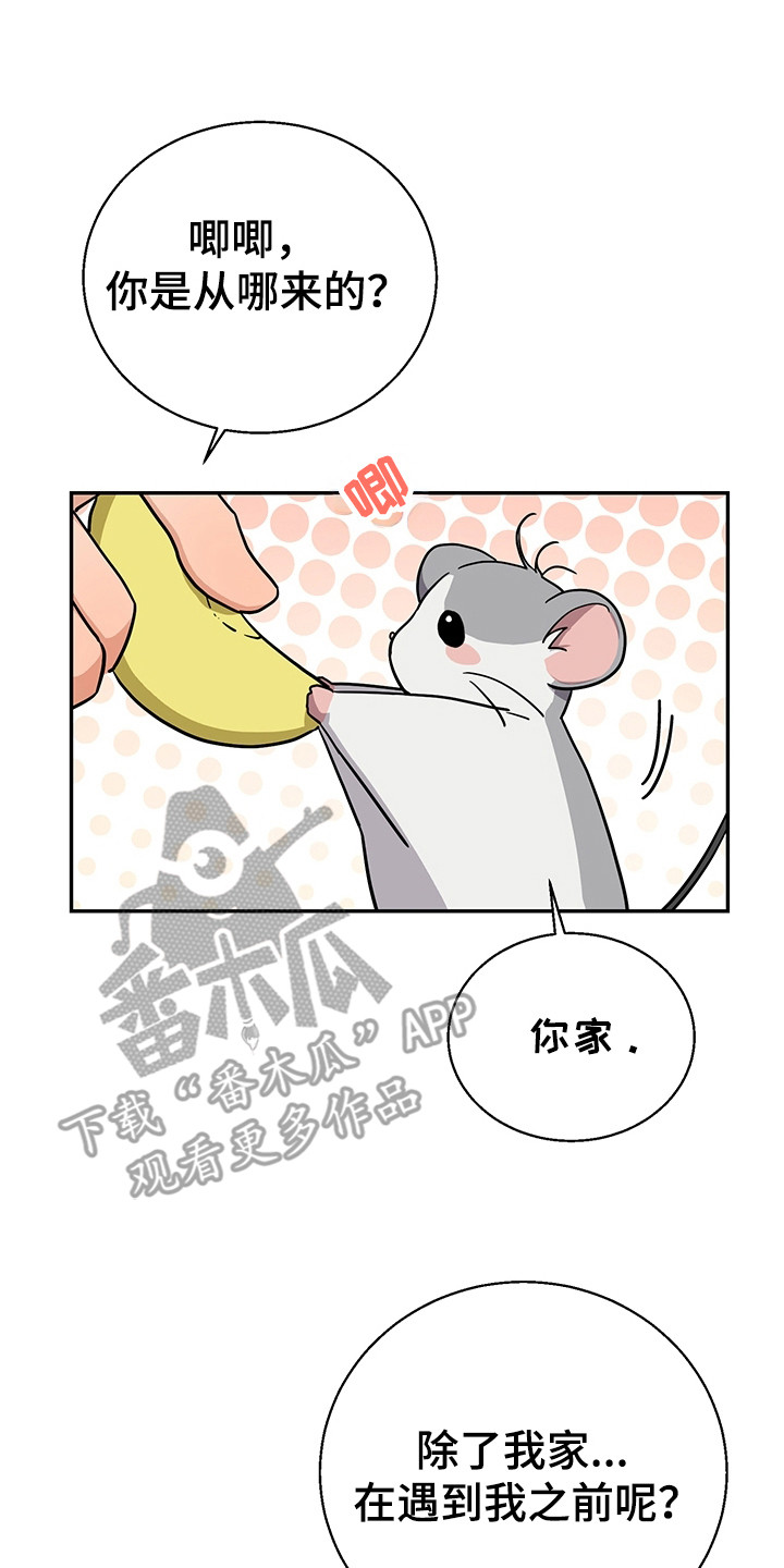 我的仓鼠作文200字漫画,第5章：甲方乙方5图