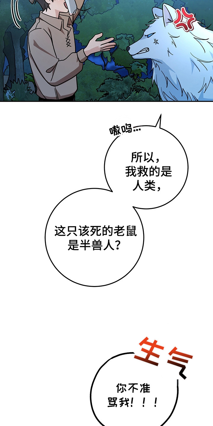 我的仓鼠游戏在哪里下载漫画,第16章：半兽人5图