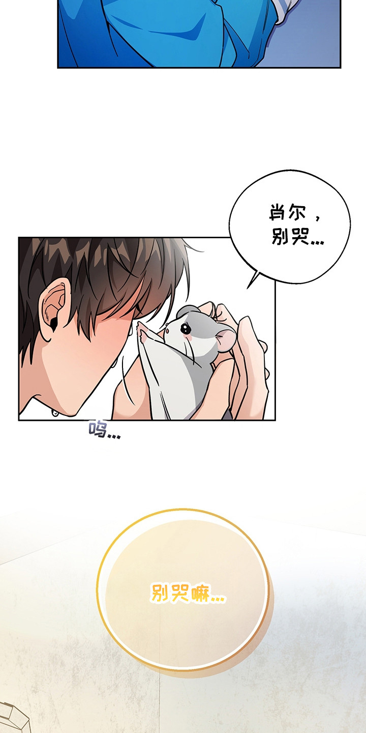 我的仓鼠游戏在哪里下载漫画,第4章：系统Bug1图