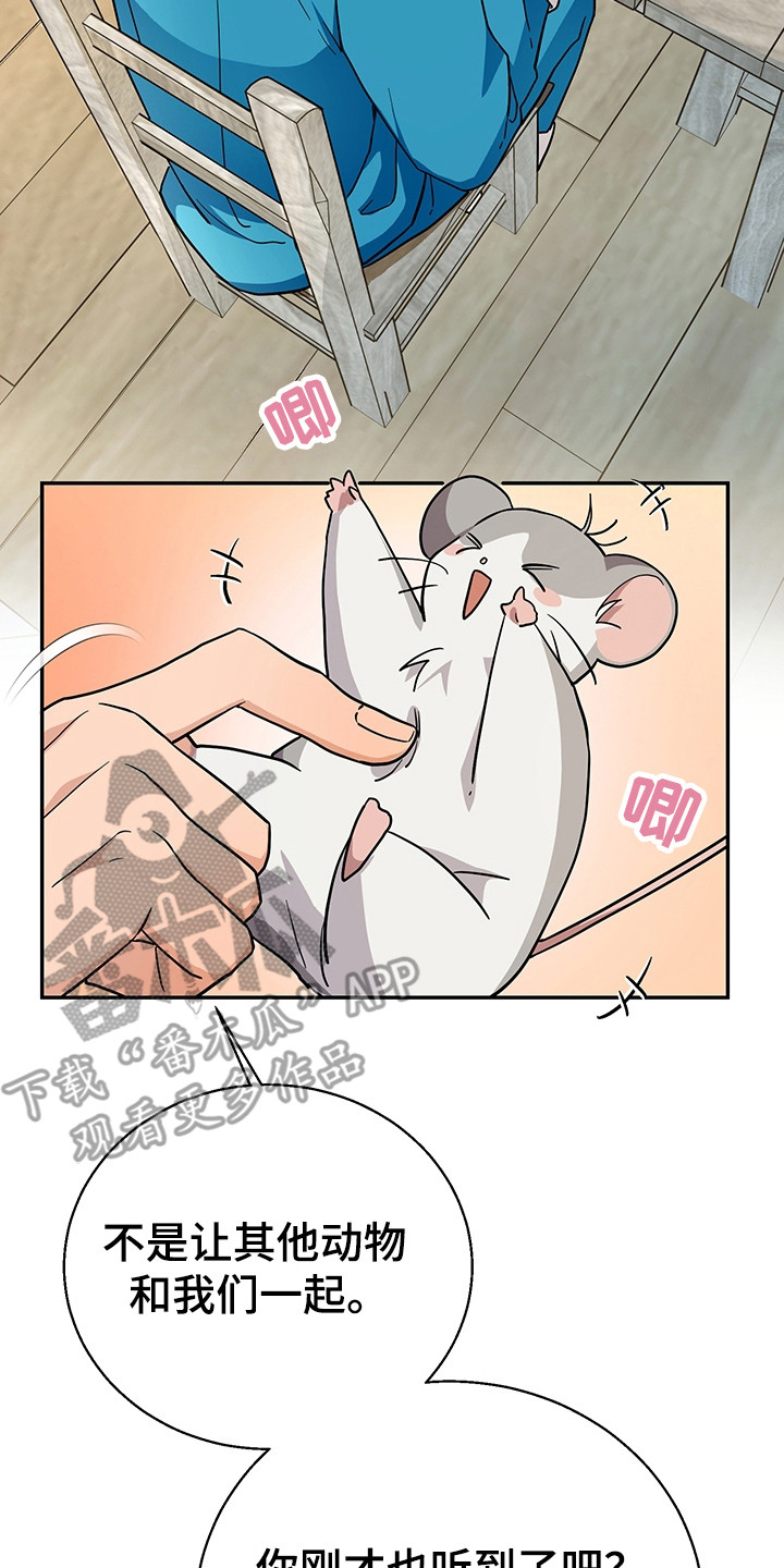 我的仓鼠作文200字漫画,第5章：甲方乙方2图