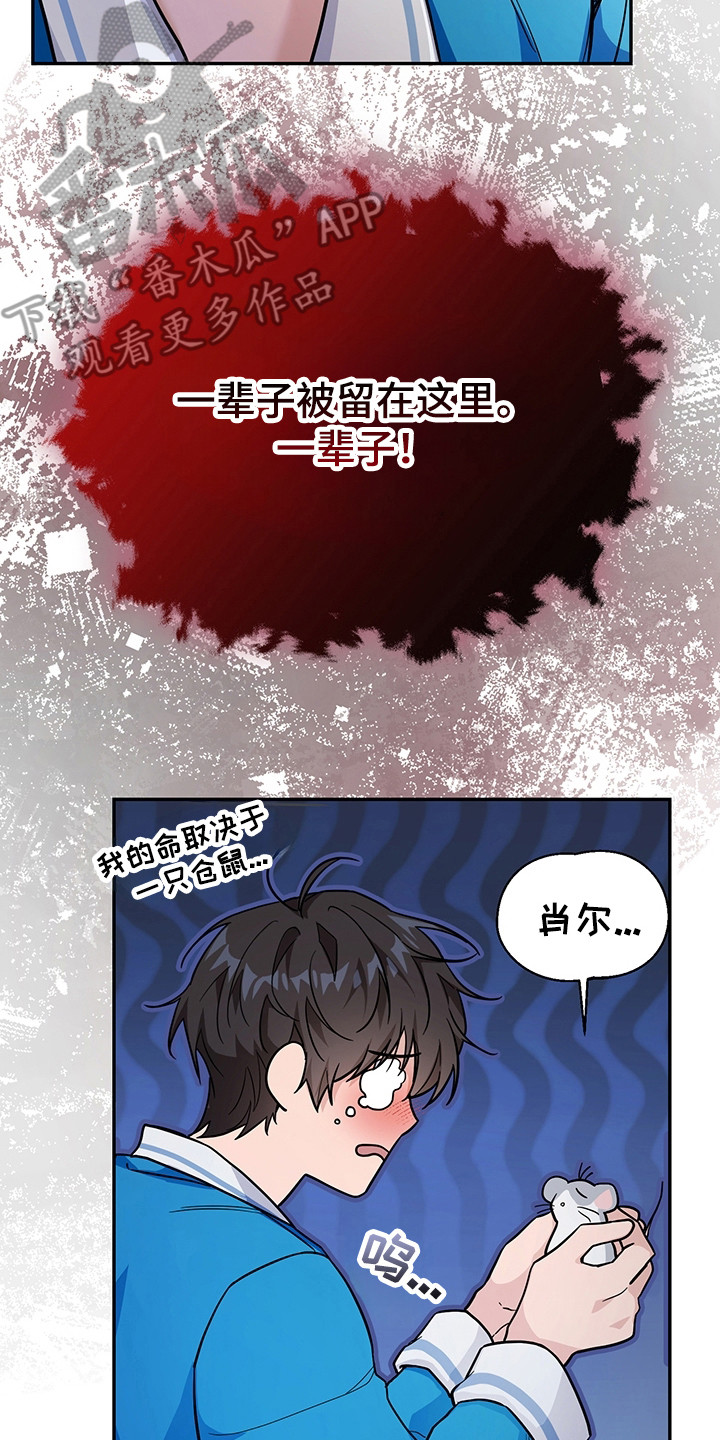 我的仓鼠外挂漫画,第4章：系统Bug5图