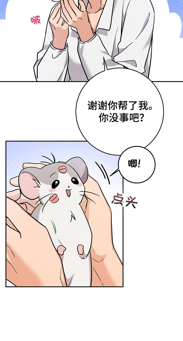 我的仓鼠无限金币中文版漫画,第7章：怪物袭击1图
