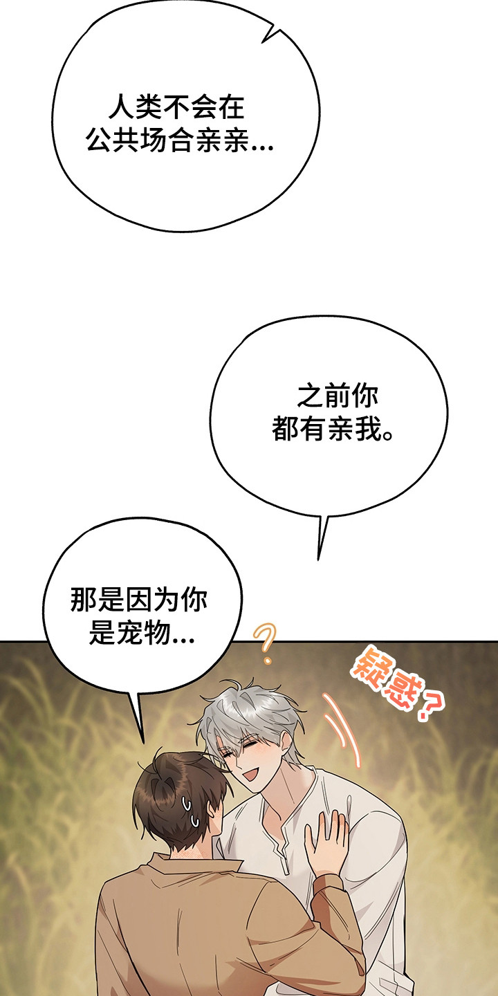 我的仓鼠游戏破解版漫画,第23章：技能5图