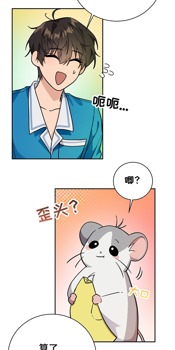 我的仓鼠作文200字漫画,第5章：甲方乙方1图