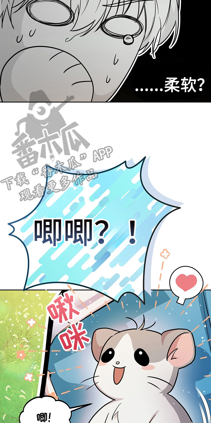 我的仓鼠给我留了一个葡萄干作者漫画,第2章：训练场2图