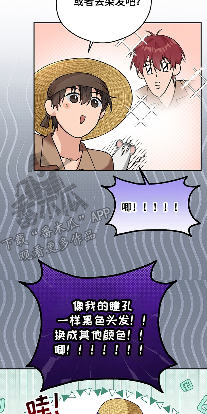 我的仓鼠外挂漫画,第11章：换装5图