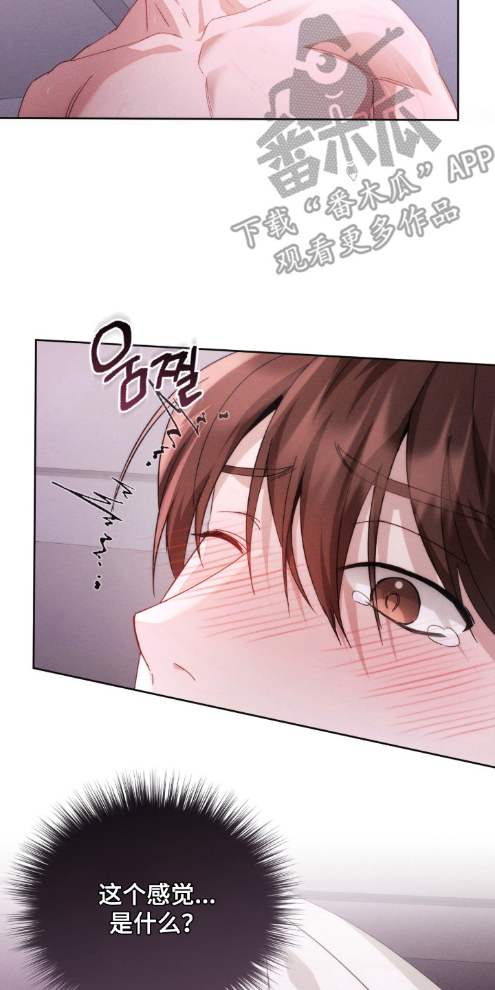 危情三人戏漫画,第9章：轻视2图