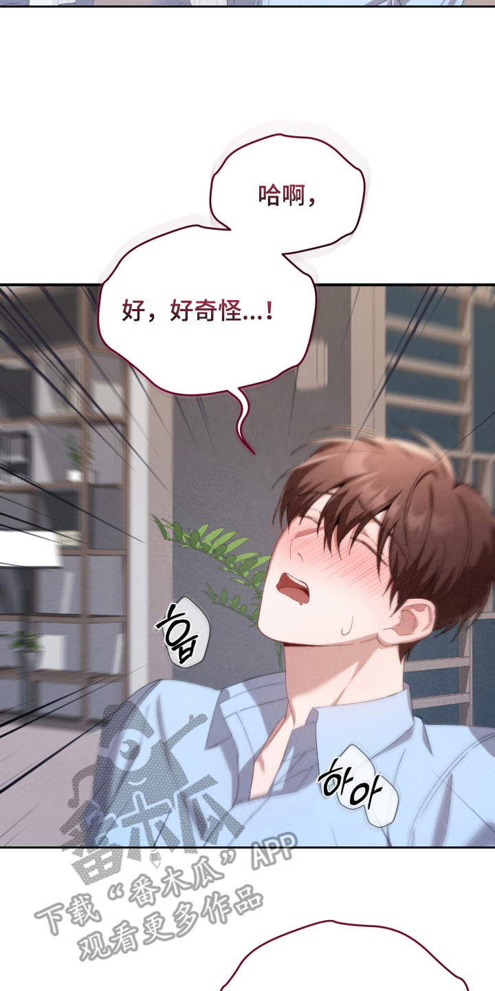 危情1993免费观看完整版高清漫画,第18章：很有天赋5图