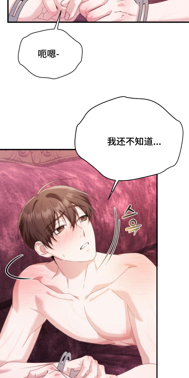 危情三人戏漫画,第26章：命令3图