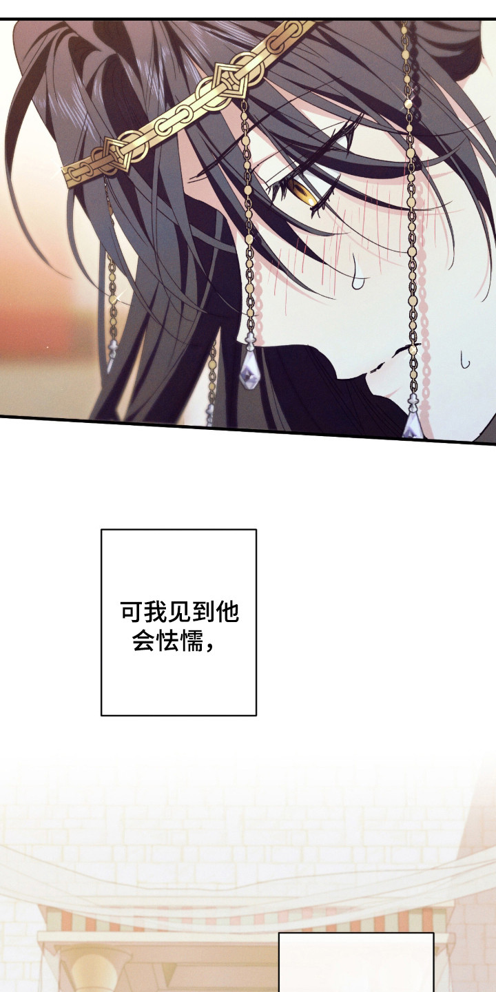 金砂迷瞳小说原著正版漫画,第12章：宴会3图