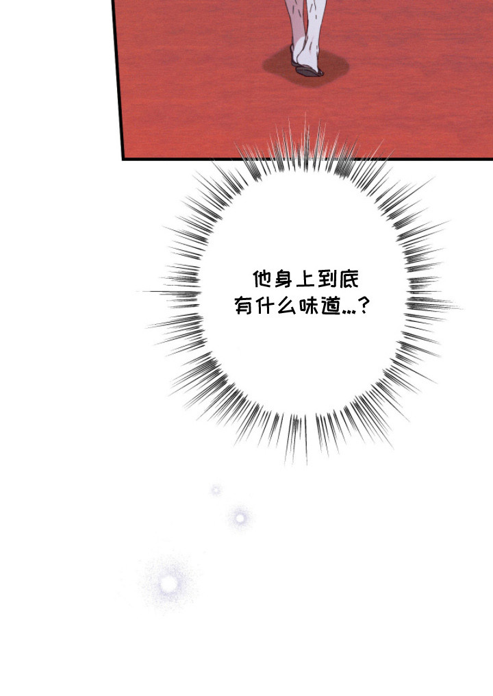 金砂迷瞳漫画,第15章：香味5图