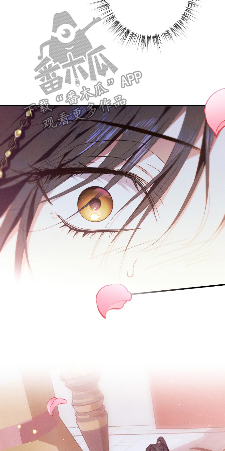 金砂迷瞳漫画,第13章：对视2图