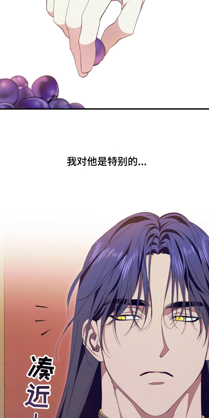 金砂迷瞳小说原著正版漫画,第12章：宴会5图