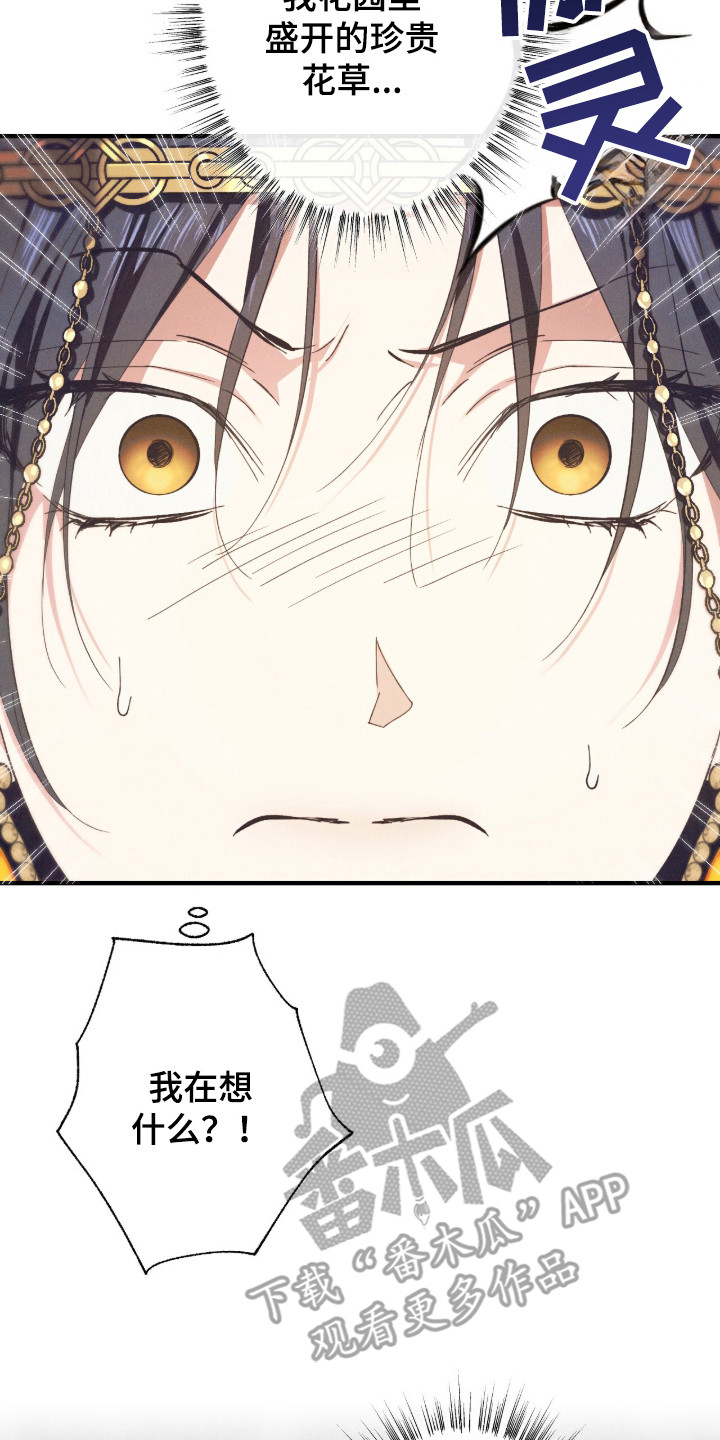 金砂迷瞳漫画,第13章：对视3图