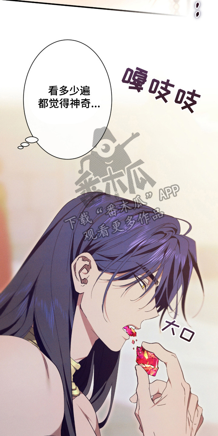 金砂迷瞳小说原著正版漫画,第12章：宴会3图