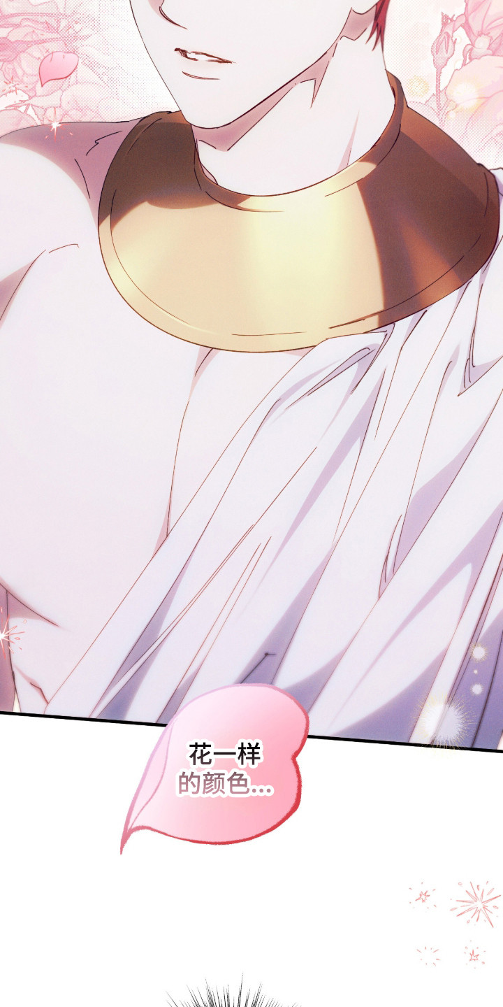 金砂迷瞳漫画,第13章：对视1图