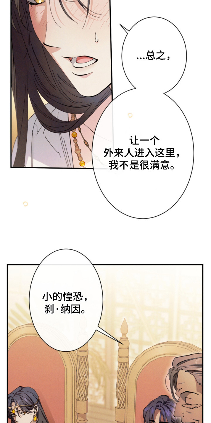 金砂迷瞳漫画,第6章：好奇3图