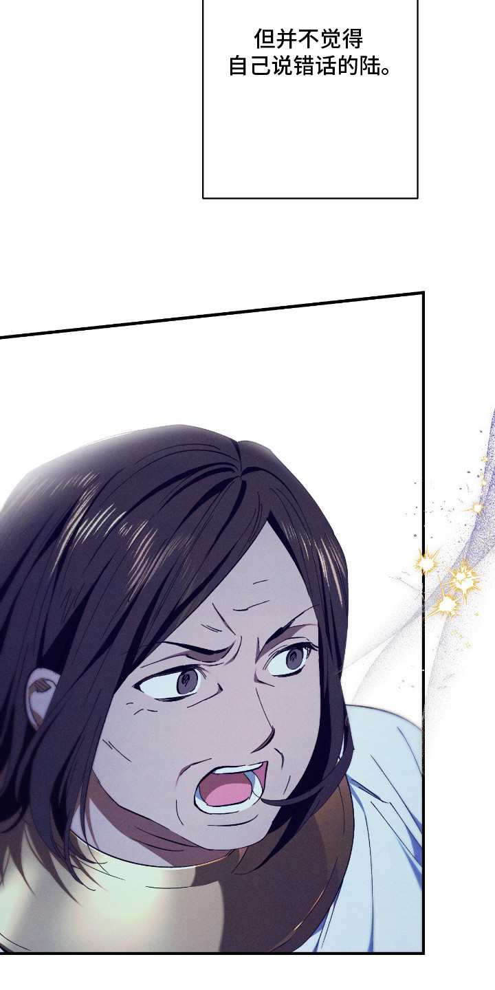 金砂乡暗巷漫画,第11章：说错话2图