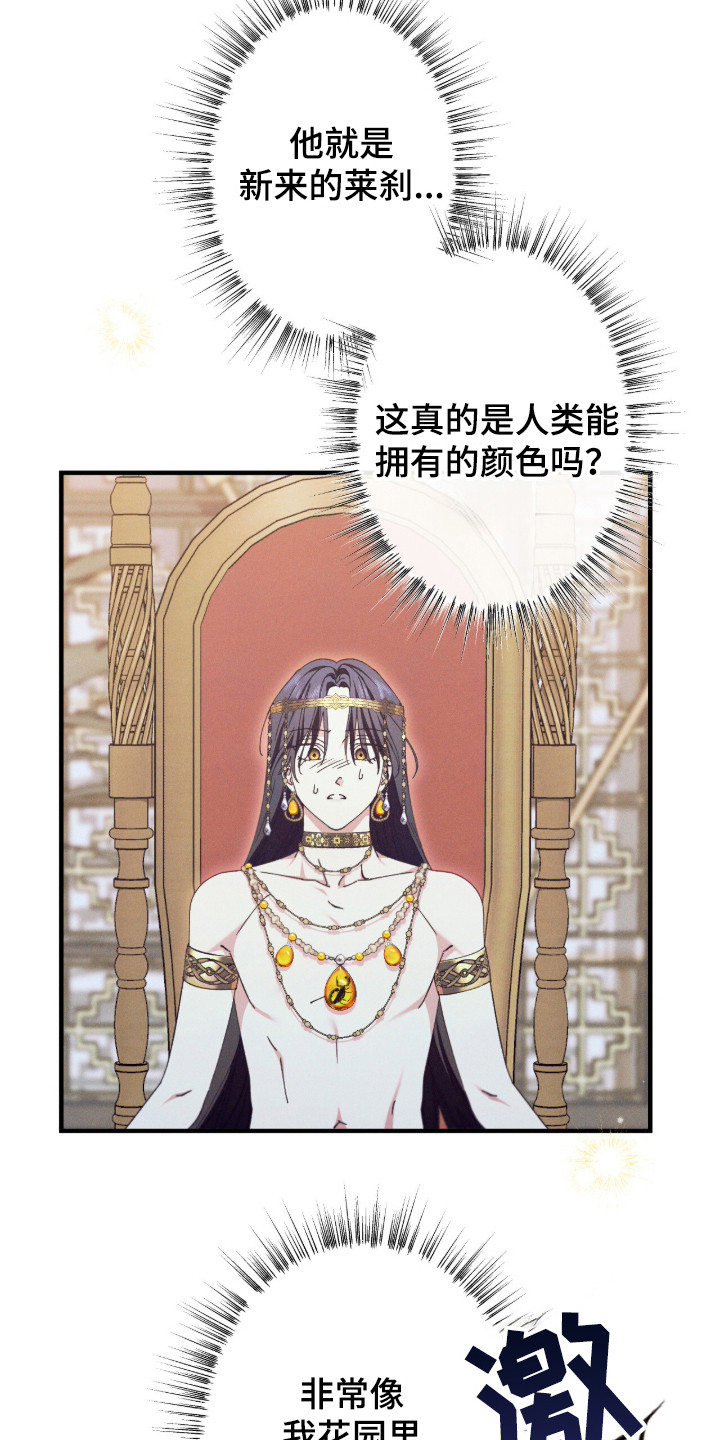 金砂迷瞳漫画,第13章：对视2图