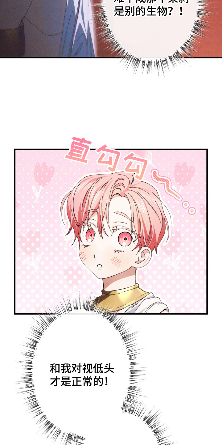 金砂迷瞳漫画,第13章：对视5图