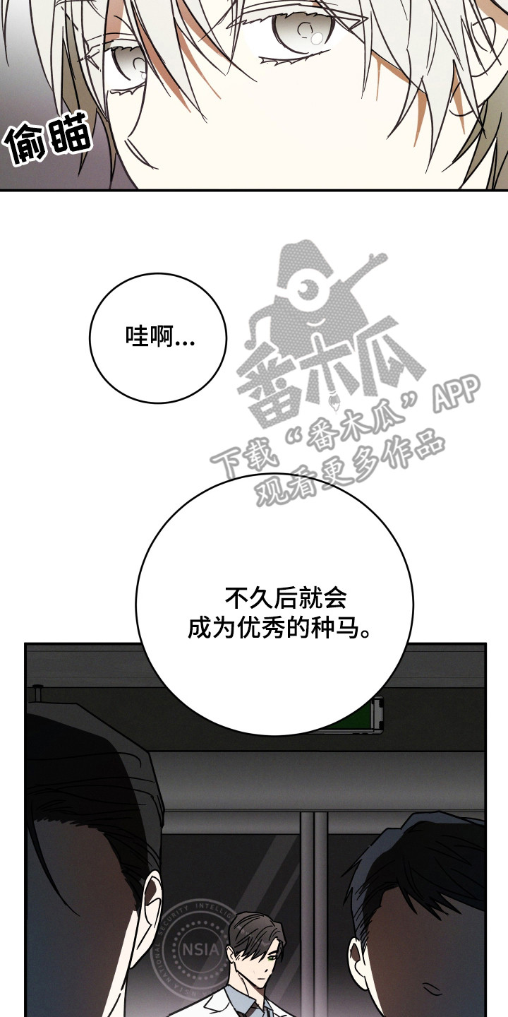 温控牢笼漫画,第1章：实验体5图
