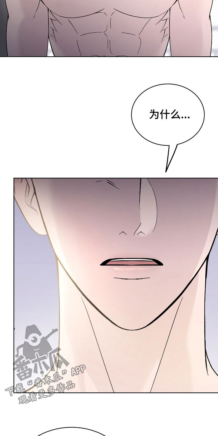 奶狗也疯狂后续漫画,第81章：私生子5图