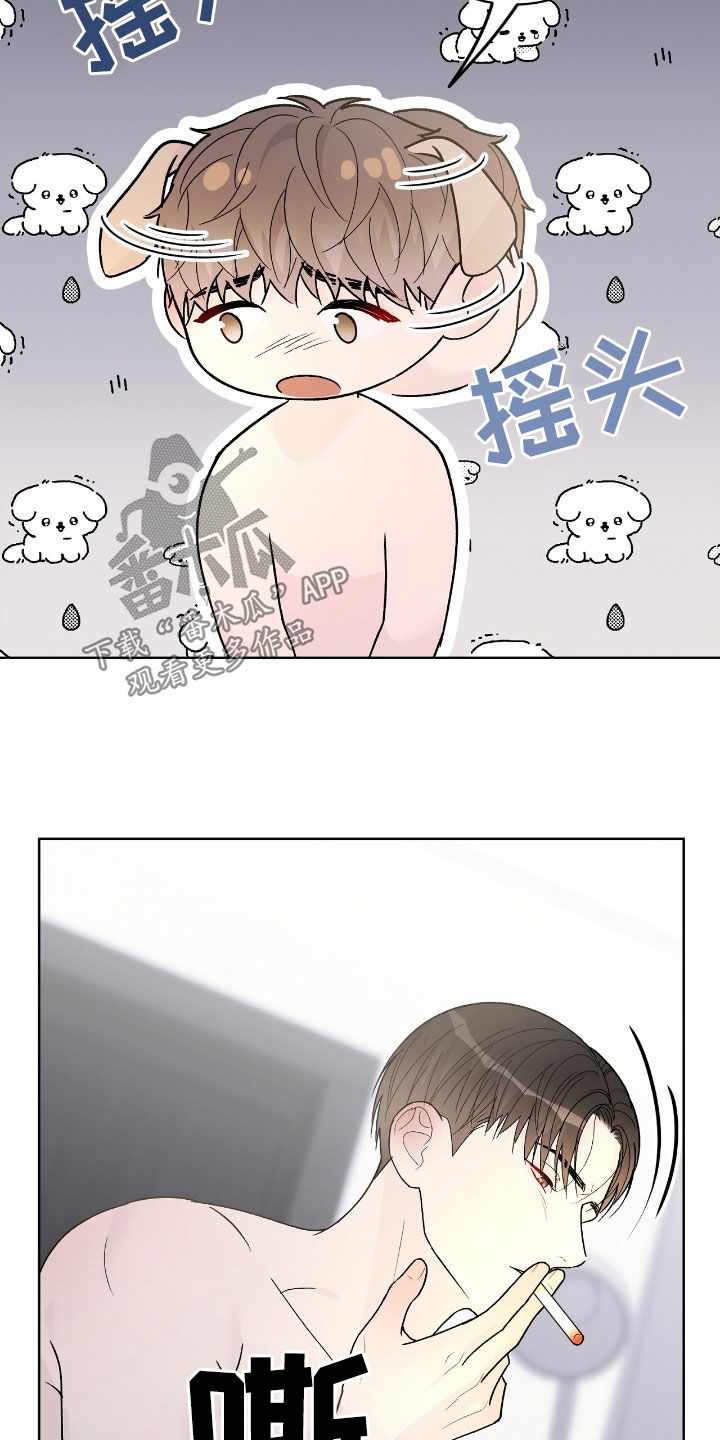 奶狗也疯狂后续漫画,第81章：私生子5图