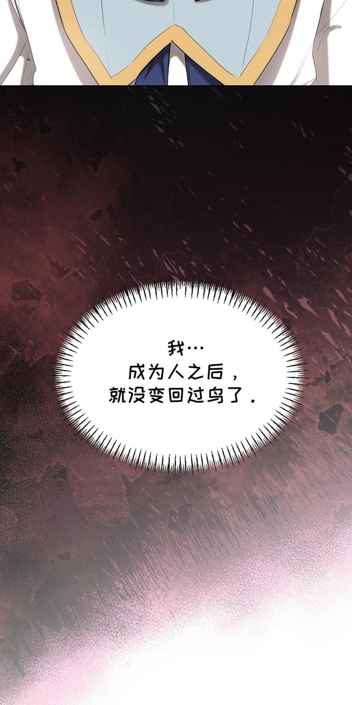 白鸟红酒漫画,第66章：约定1图